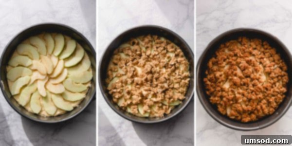 Three step-by-step images showing the assembled cake batter in a springform pan, topped with apple slices and streusel, ready for baking.