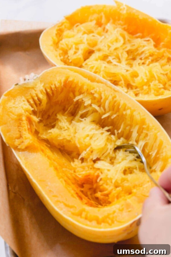 Spaghetti Squash Made Easy: Two Delicious Ways 5 Running a fork through a baked spaghetti squash.