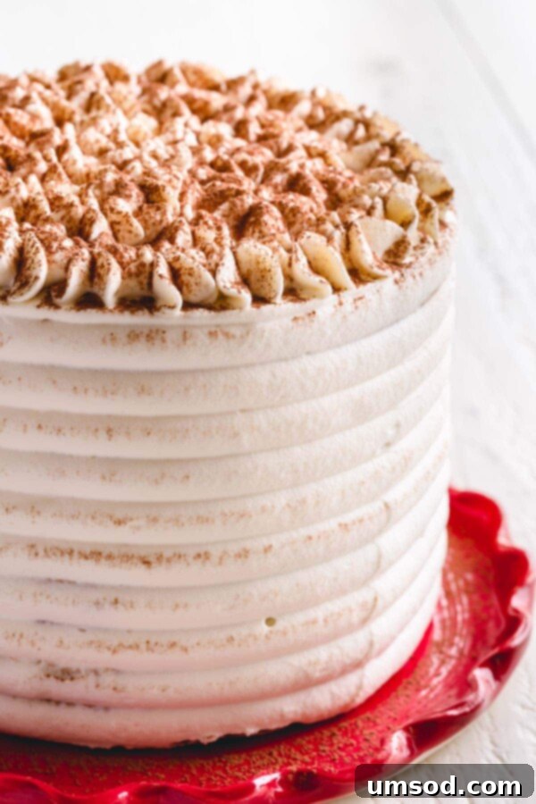 A whole tiramisu cake dusted with cocoa powder on a red plate, showcasing its beautiful layers.