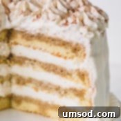 A cut version of a whole tiramisu layer cake on a white cake platter.