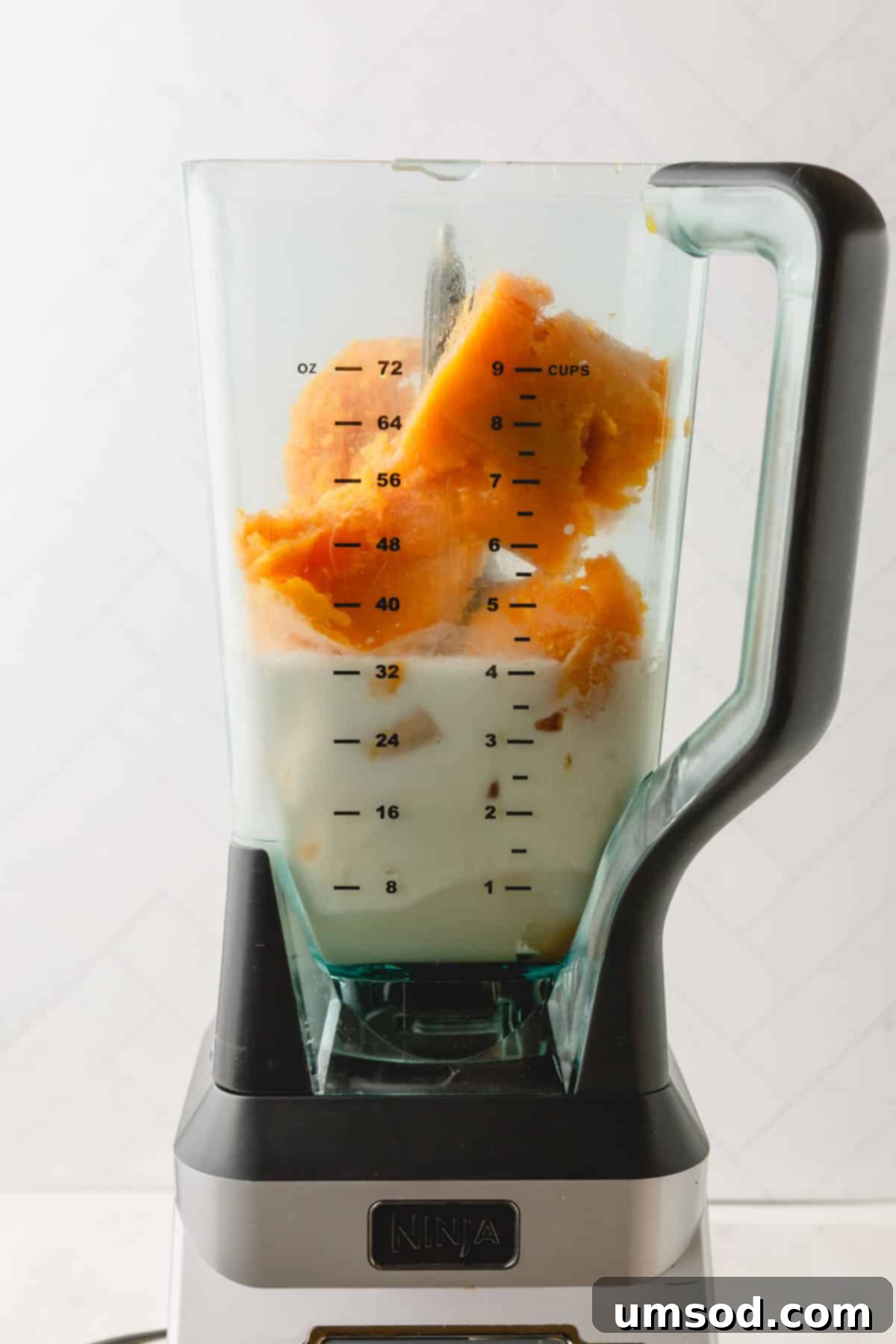 Coconut orange Julius ingredients in a blender.