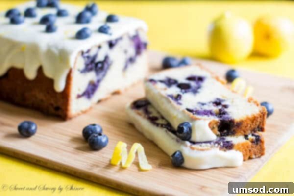Zesty Lemon Blueberry Bake 4 The initial attempt at baking the blueberry lemon cake, affectionately termed an 'ugly duckling,' where the blueberries settled at the bottom of the pan. Despite its appearance, the cake was still incredibly delicious.