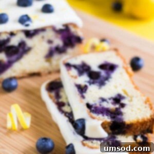Zesty Lemon Blueberry Bake 7 Blueberry Lemon Cake with Lemon Cream Cheese Frosting