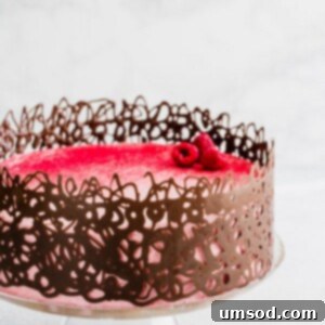 Crafting Exquisite Chocolate Cages 4 Finished chocolate cage on a frosted cake