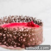 Crafting Exquisite Chocolate Cages 5 Detail of a chocolate cage design