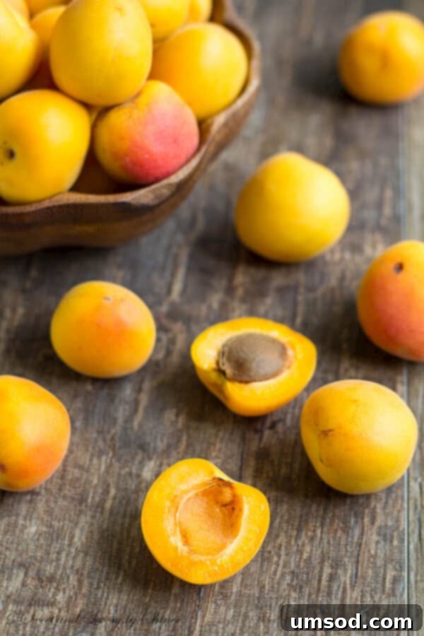 Three jars of apricot jam, featuring classic, honey, and jalapeño varieties, neatly labeled.