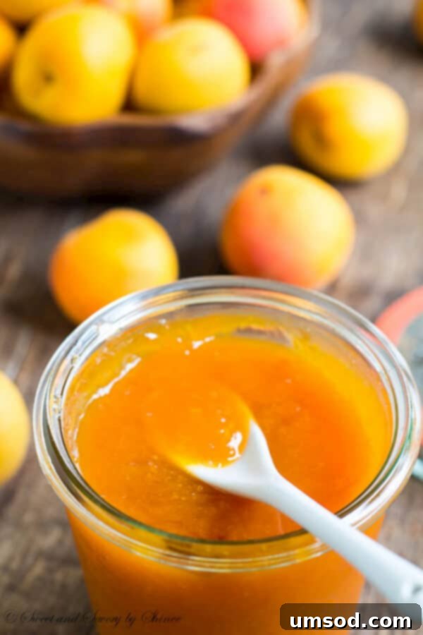 Close-up of three jars of apricot jam, showing their distinct colors and textures.