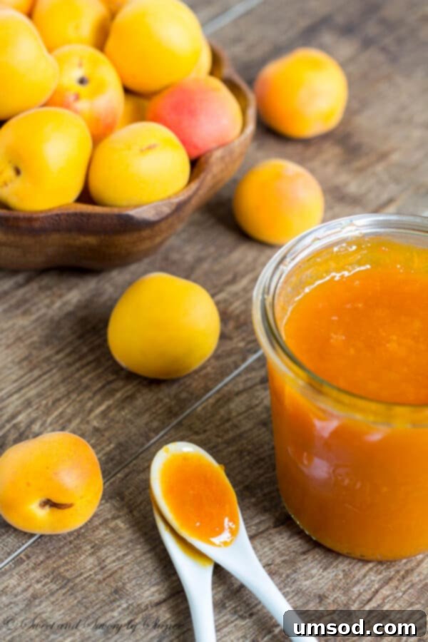 A spoonful of classic apricot jam being served, highlighting its smooth texture.
