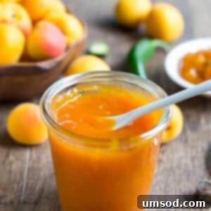 A jar of delicious homemade apricot jam.