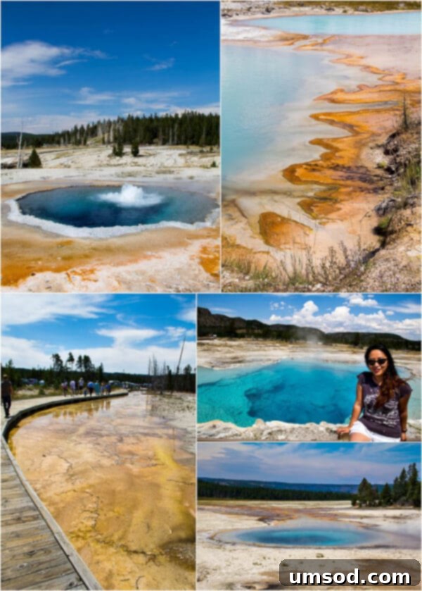 Summer Adventures Japan Mongolia Minnesota Montana Wyoming And Beyond 11 Yellowstone NP ~Sweet and Savory by Shinee - Sapphire Pool