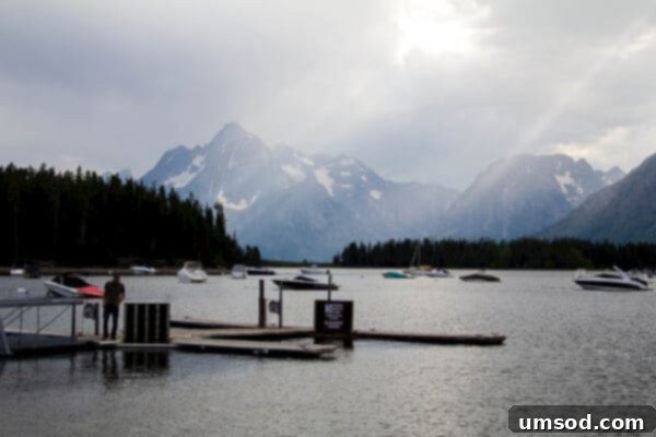 Summer Adventures Japan Mongolia Minnesota Montana Wyoming And Beyond 13 Grand Teton, WY ~Sweet and Savory by Shinee - Majestic Mountains