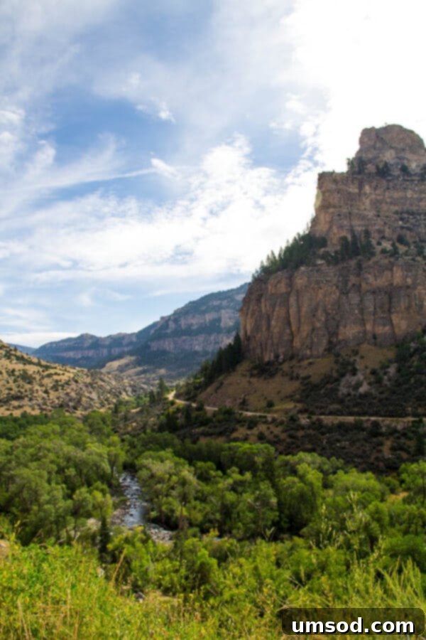 Summer Adventures Japan Mongolia Minnesota Montana Wyoming And Beyond 16 Mountains... ~Sweet and Savory by Shinee - Scenic Vistas