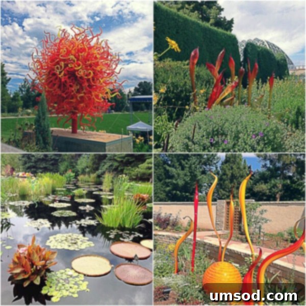 Summer Adventures Japan Mongolia Minnesota Montana Wyoming And Beyond 19 Denver Botanical Garden ~Sweet and Savory by Shinee - Chihuly Exhibition
