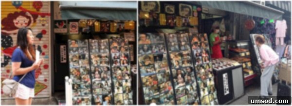 Summer Adventures Japan Mongolia Minnesota Montana Wyoming And Beyond 3 Food stand in Tokyo, Japan ~Sweet and Savory by Shinee - Japanese Street Food