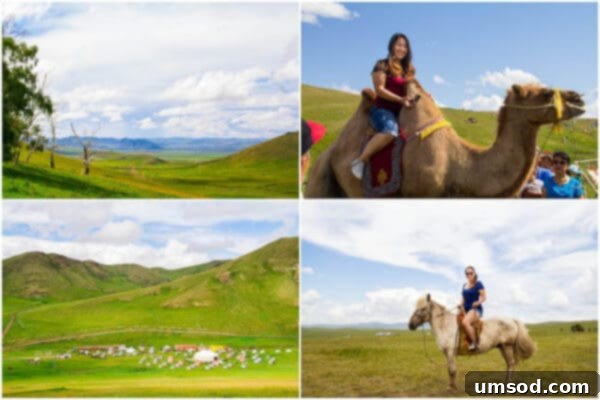 Summer Adventures Japan Mongolia Minnesota Montana Wyoming And Beyond 6 Mongolia ~Sweet and Savory by Shinee - Horse and Camel Riding