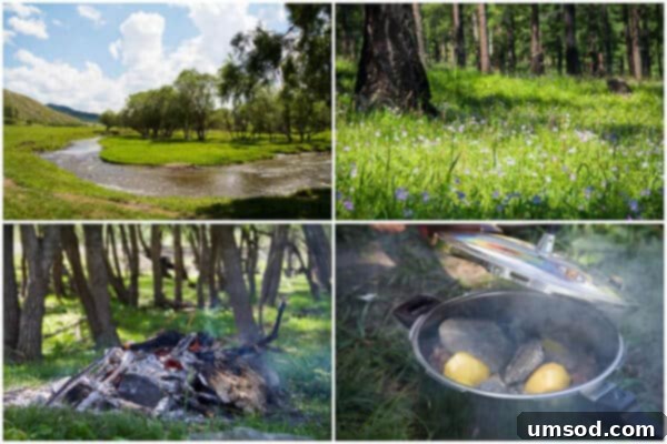 Summer Adventures Japan Mongolia Minnesota Montana Wyoming And Beyond 7 Camping and real Mongolian bbq ~Sweet and Savory by Shinee - Khorkhog