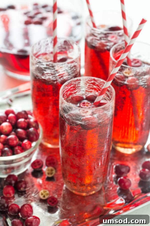Sparkling Cranberry Ginger Refresher 3 Cranberry Ginger Ale Punch with fresh cranberries and rosemary garnish in a glass