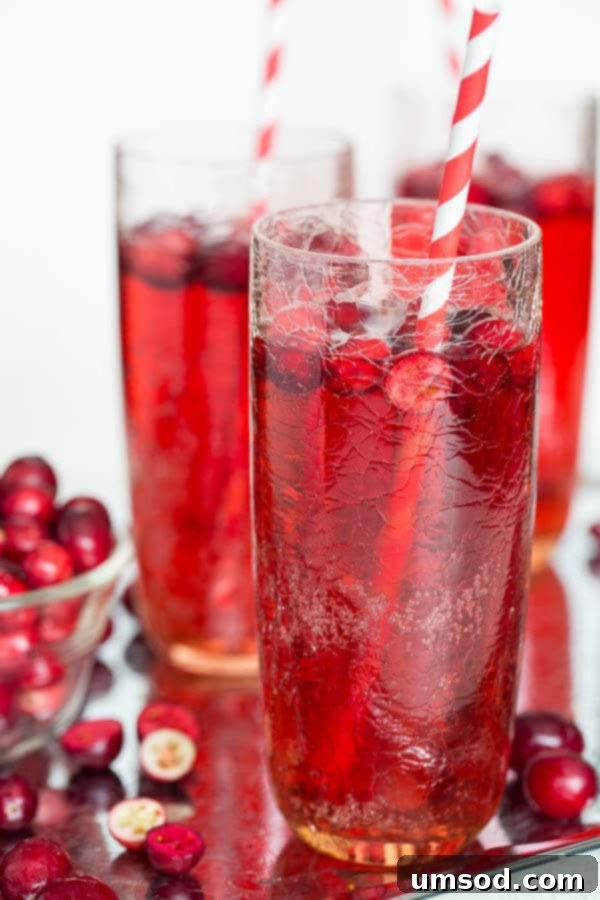 Sparkling Cranberry Ginger Refresher 4 Close-up of sparkling Cranberry Ginger Ale Punch with frozen cranberries