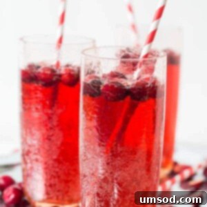 Sparkling Cranberry Ginger Refresher 5 Cranberry Ginger Ale Punch