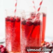 Sparkling Cranberry Ginger Refresher 6 Author image