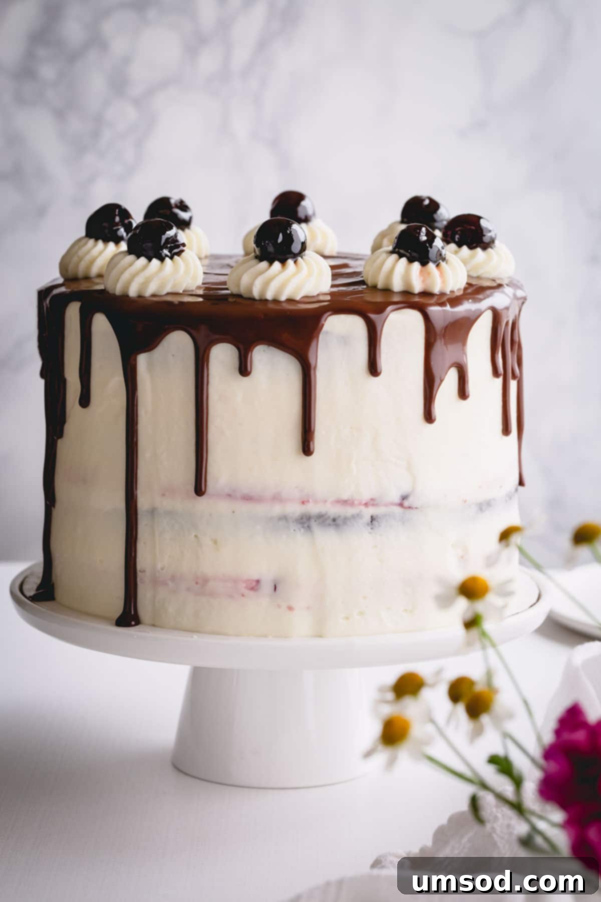 A stunning Black Forest cake adorned with a delicate chocolate drizzle on a pristine white cake platter, ready to be served.