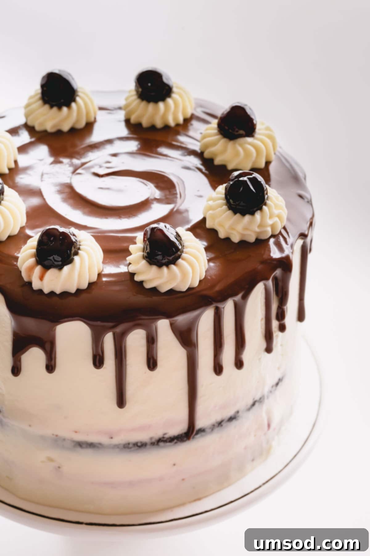 A meticulously decorated Black Forest cake, featuring elegant chocolate drizzle and juicy canned cherries on top.