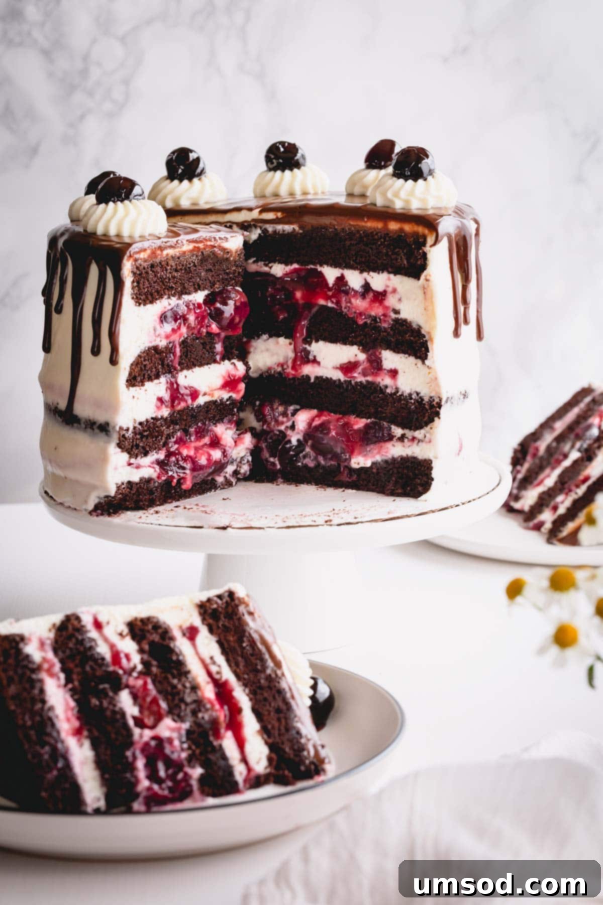 A perfectly sliced Black Forest cake, revealing its beautiful layers, presented on an elegant white cake stand.