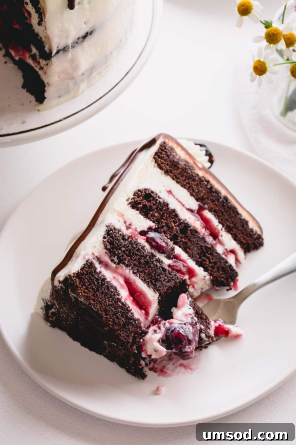 A delectable slice of chocolate layer cake presented on a clean white plate, ready to be enjoyed.