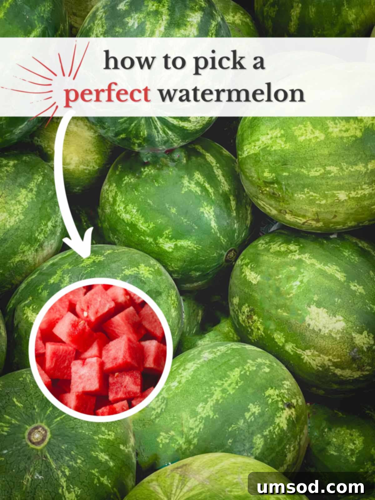 Choose the Best Watermelon Every Time 2 Bunch of watermelons with a label how to pick a perfect watermelon.