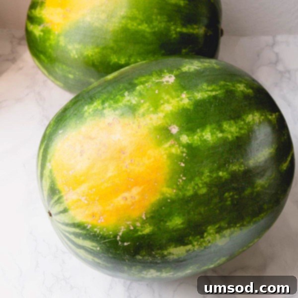Choose the Best Watermelon Every Time 3 2 whole watermelons with bright yellow field spot.
