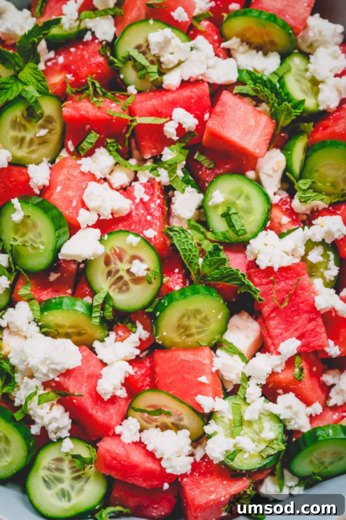 Close-up photo of watermelon feta salad, generously garnished with finely chopped fresh mint, highlighting the vibrant colors and textures.