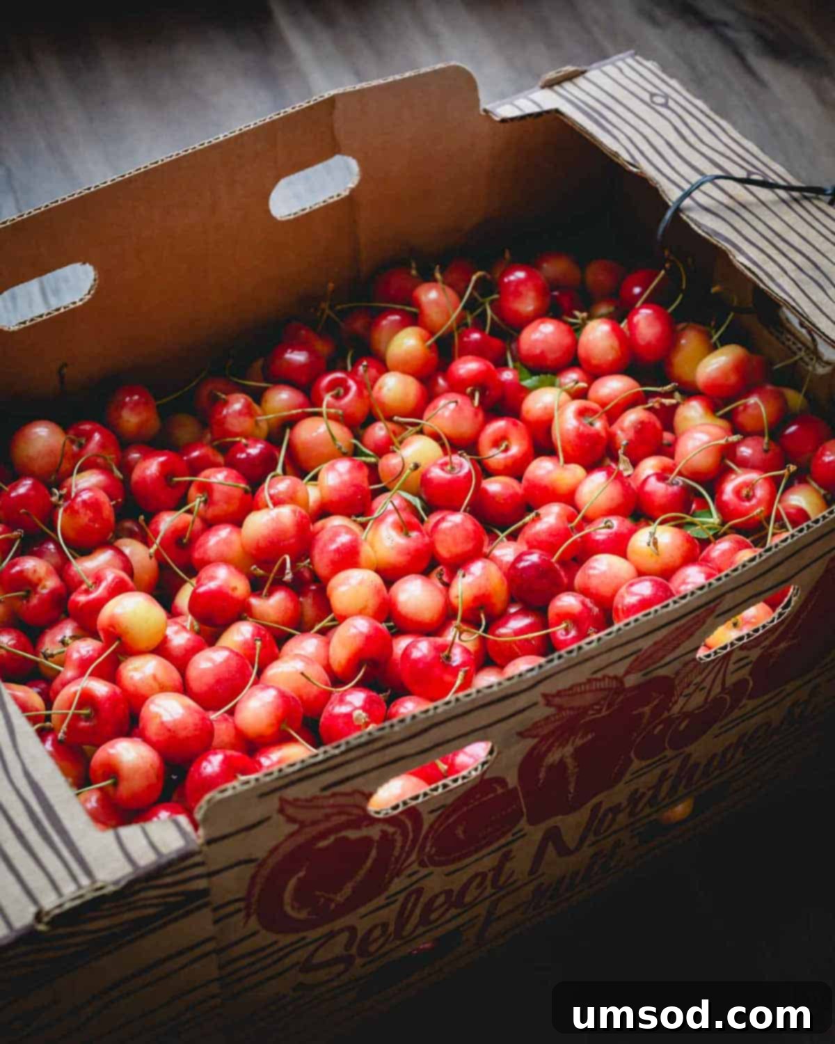 Cherry Essentials 2 A box of pristine Rainier cherries, showcasing their delicate yellow-pink hues.