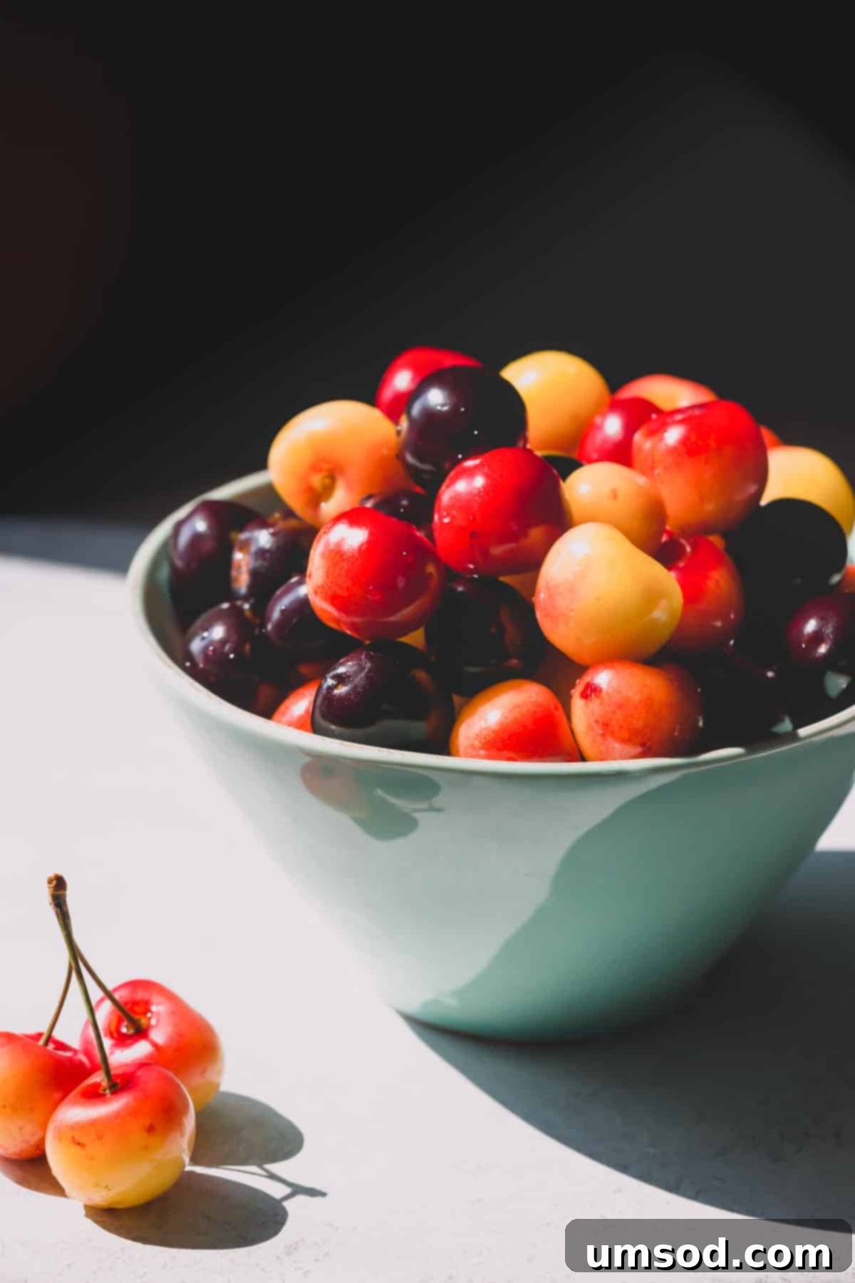 Cherry Essentials 3 A vibrant bowl filled with a mix of light-colored Rainier cherries and deep red sweet dark cherries.