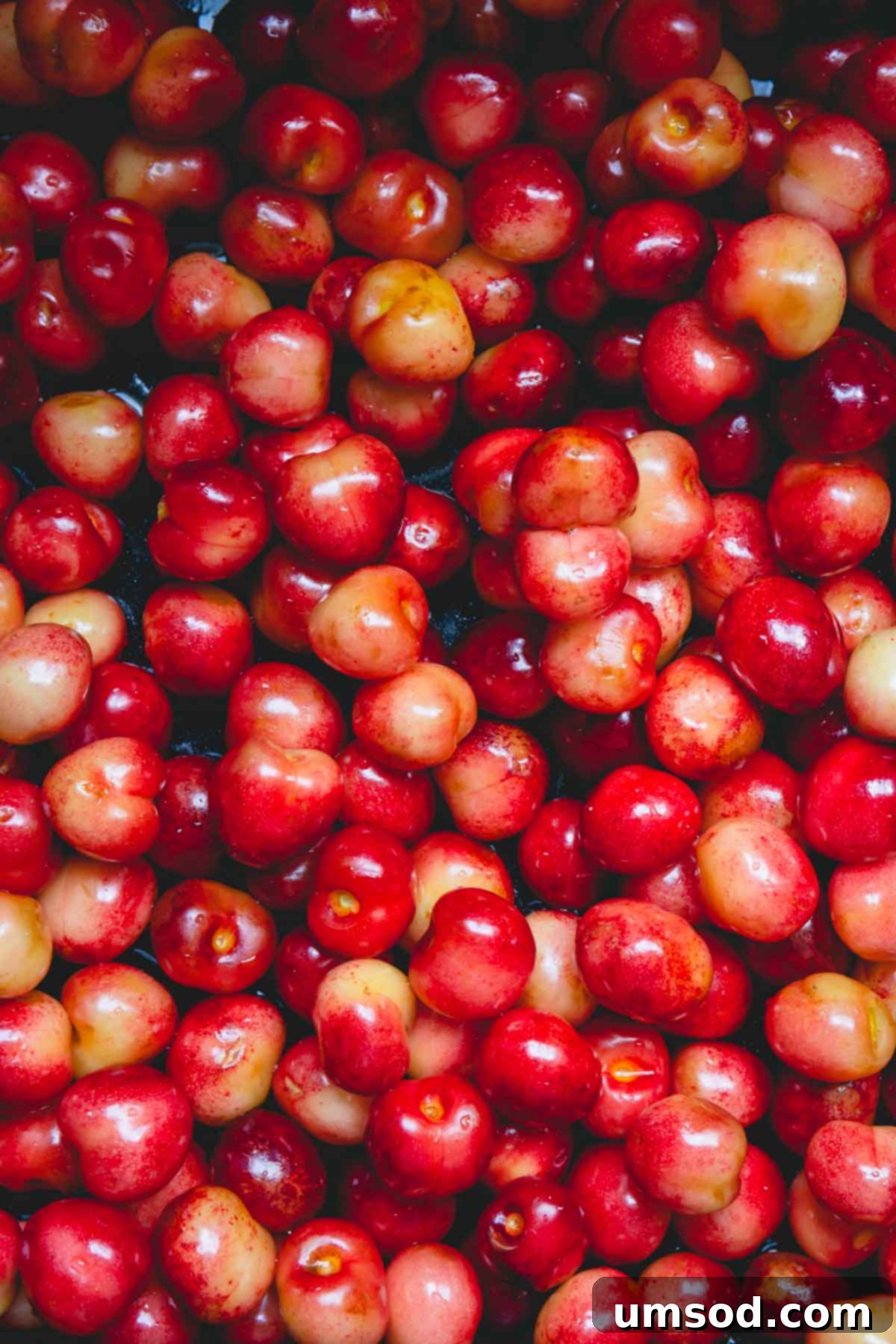 Cherry Essentials 4 A close-up photograph highlighting the delicate beauty of Rainier cherries.