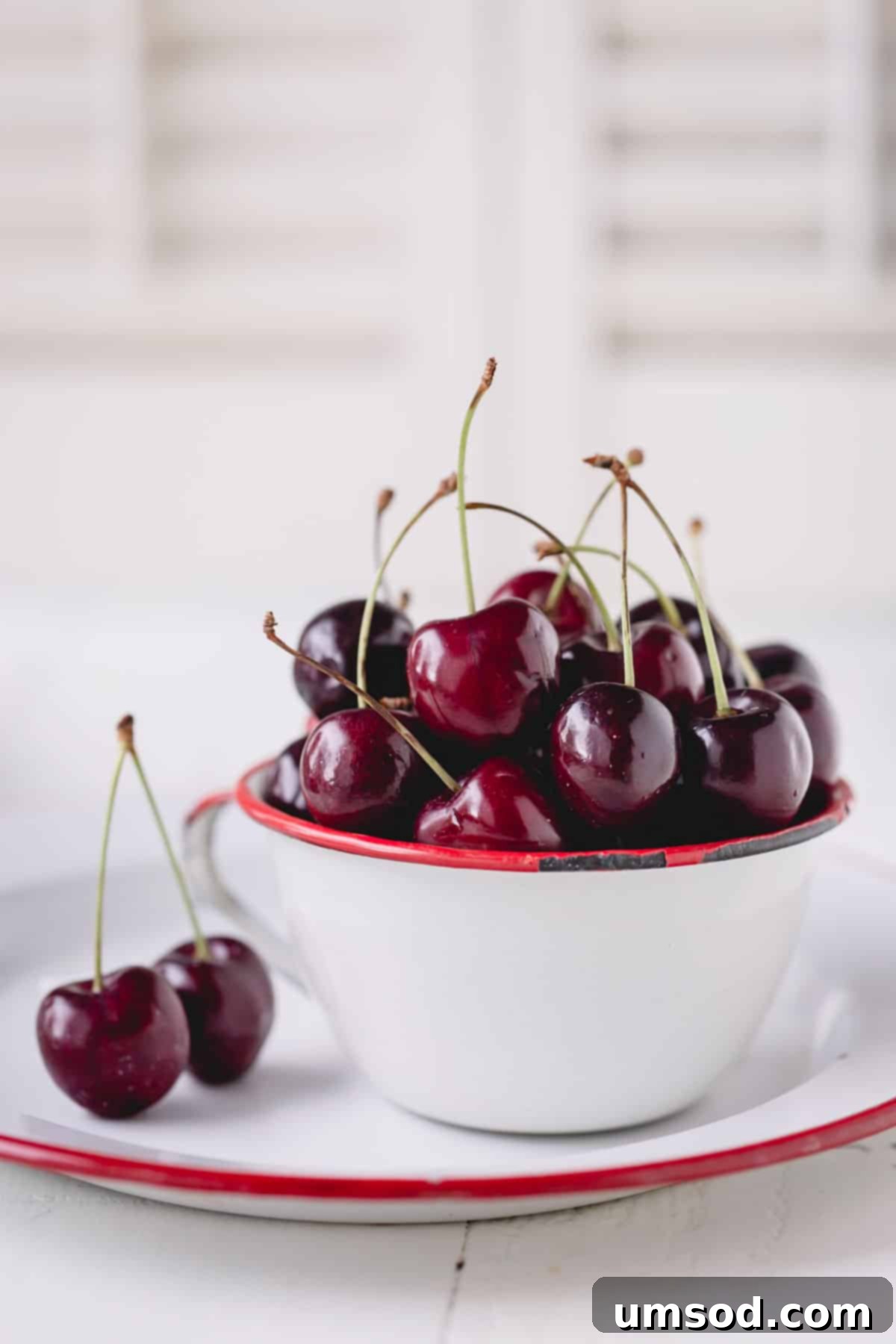 Cherry Essentials 6 A beautiful bowl overflowing with dark, glossy sweet cherries.