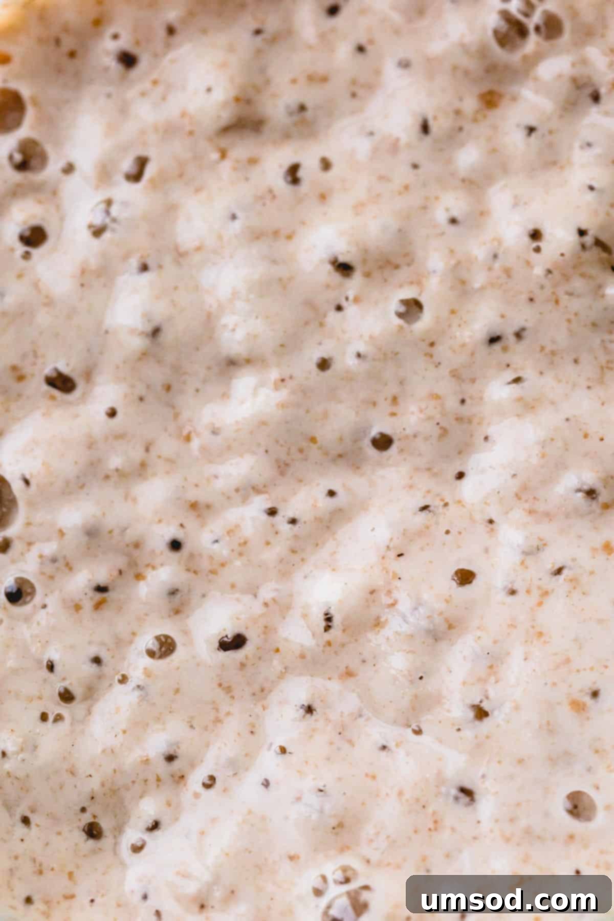 Zero-Waste Sourdough Starter Care 3 Upclose look of bubbly, active sourdough starter in a clear glass jar.