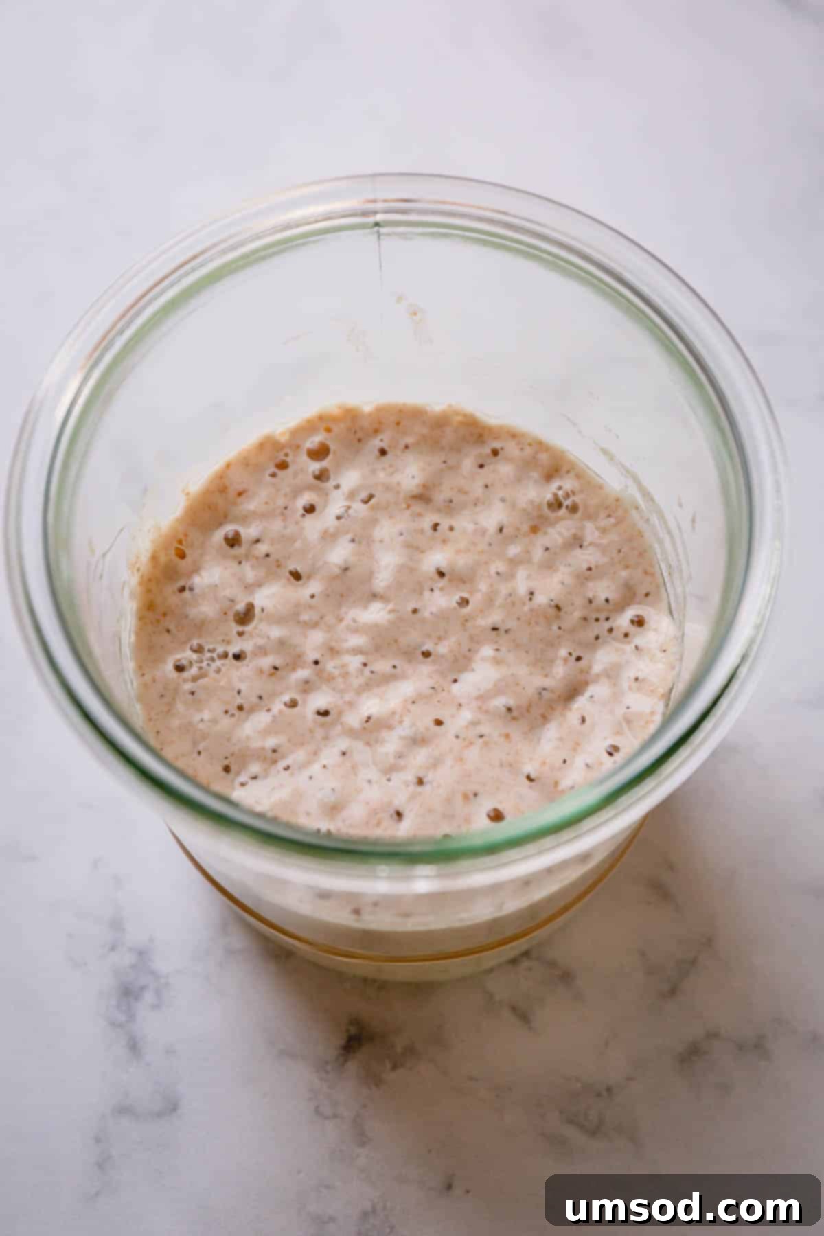 Zero-Waste Sourdough Starter Care 4 Active, bubbly sourdough starter in a glass jar, showing its rise.