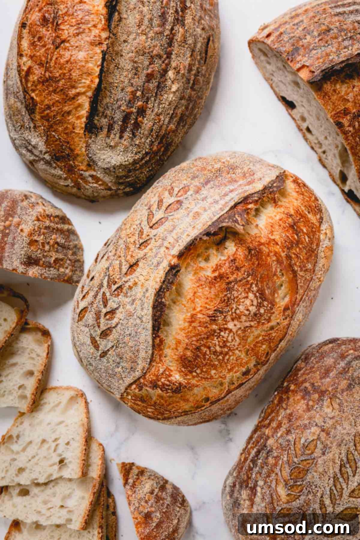 A perfectly baked, crusty loaf of homemade sourdough bread with a beautiful score.