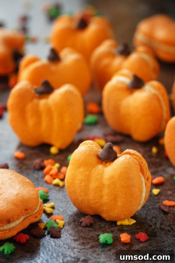 Harvest Pumpkin Macarons 3 Close-up of cute pumpkin spice macarons, decorated with tiny chocolate chips, sitting on a baking tray.