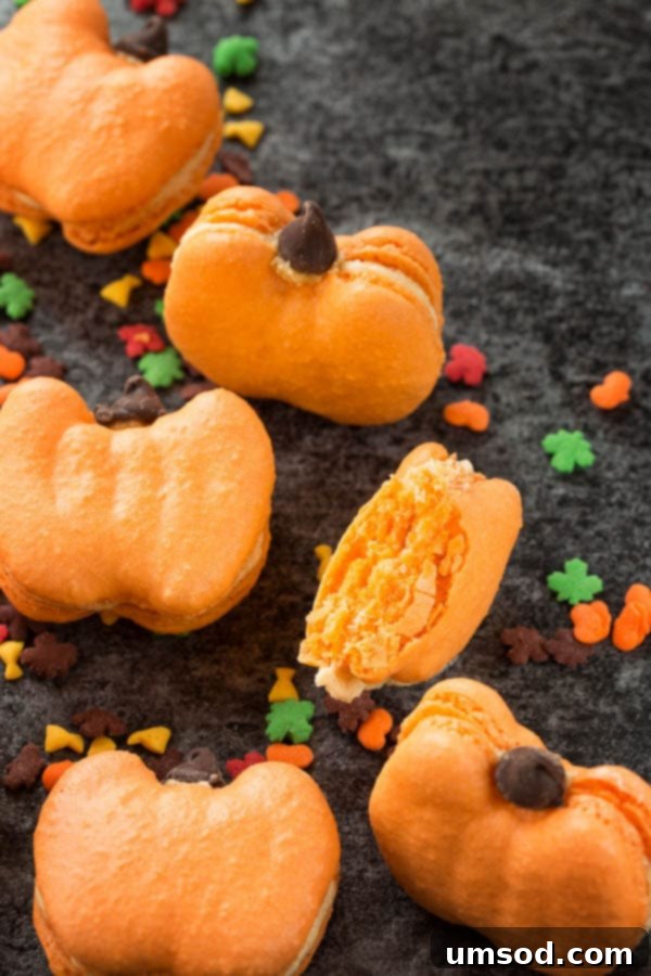 Harvest Pumpkin Macarons 4 A cluster of perfect pumpkin French macarons with ruffled feet and smooth tops, ideal for autumn celebrations.