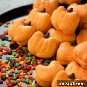 Harvest Pumpkin Macarons 6 Delicious pumpkin macarons with orange shells and a creamy filling.