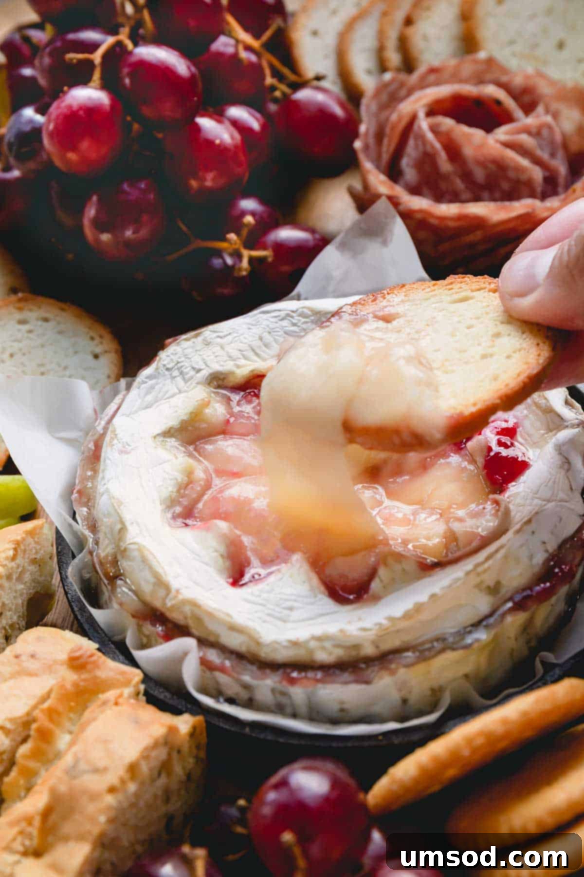 Golden Baked Brie with a Savory Heart 6 A crisp baguette slice being dipped into a luscious, gooey baked brie, showcasing its irresistible melted texture.