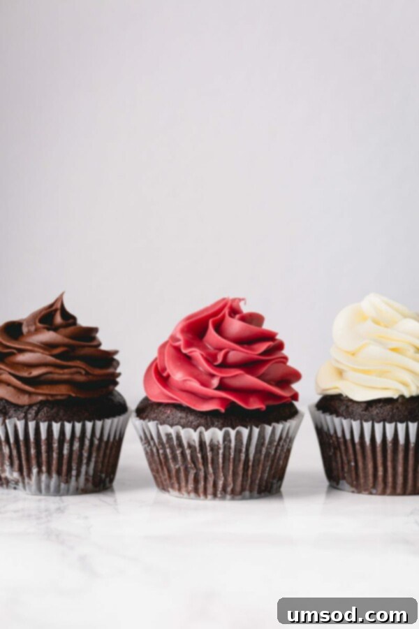 A cupcake beautifully frosted with whipped chocolate ganache.