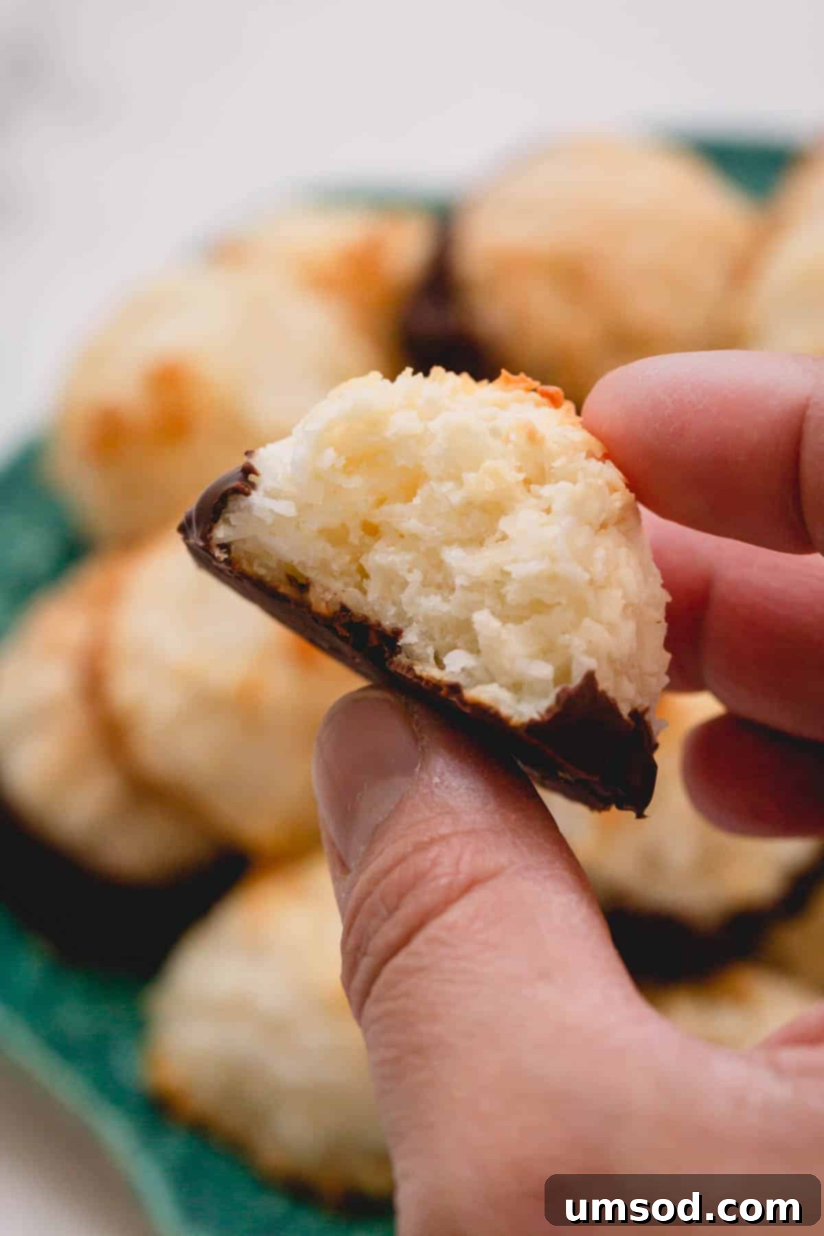A hand gently holding a single, perfectly golden coconut macaroon, showcasing its inviting texture and appealing shape.
