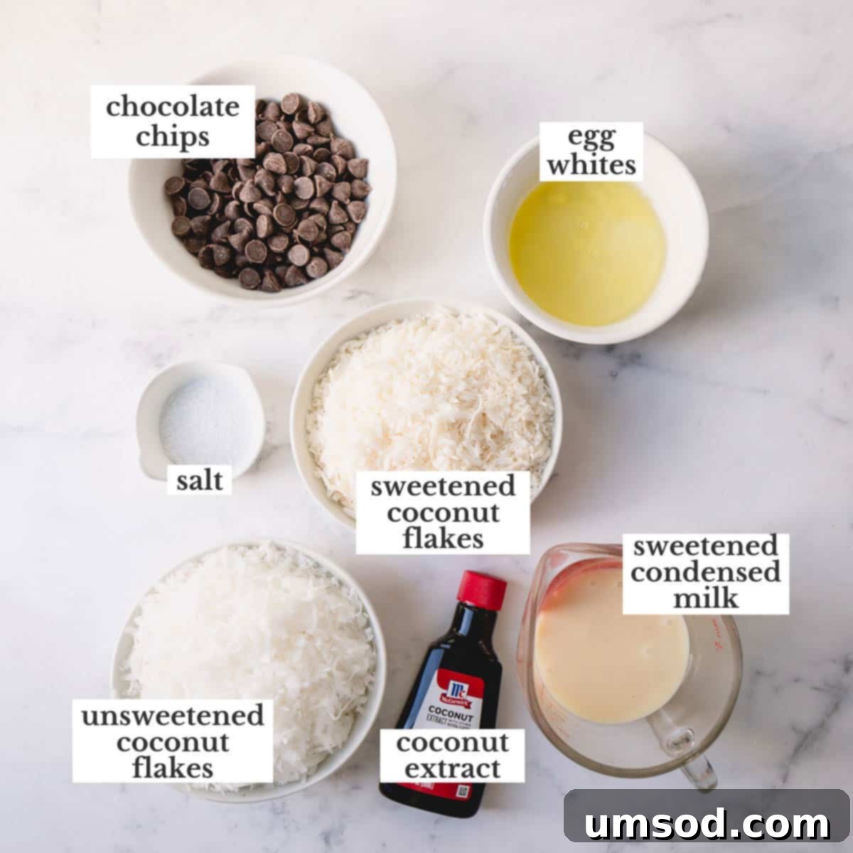 A flat lay image displaying all the key ingredients for chocolate dipped coconut macaroons: bowls of shredded sweetened and unsweetened coconut, a jar of sweetened condensed milk, separated egg whites, coconut extract, a salt shaker, and a bowl of chocolate chips.
