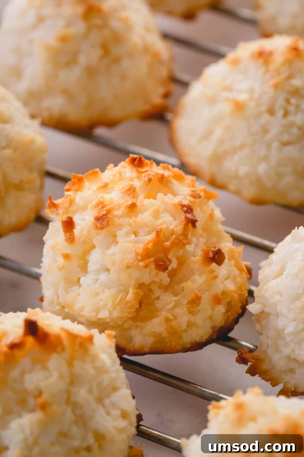 A collection of perfectly baked coconut macaroons cooling on a wire rack, ready for their chocolate dip or to be enjoyed plain.