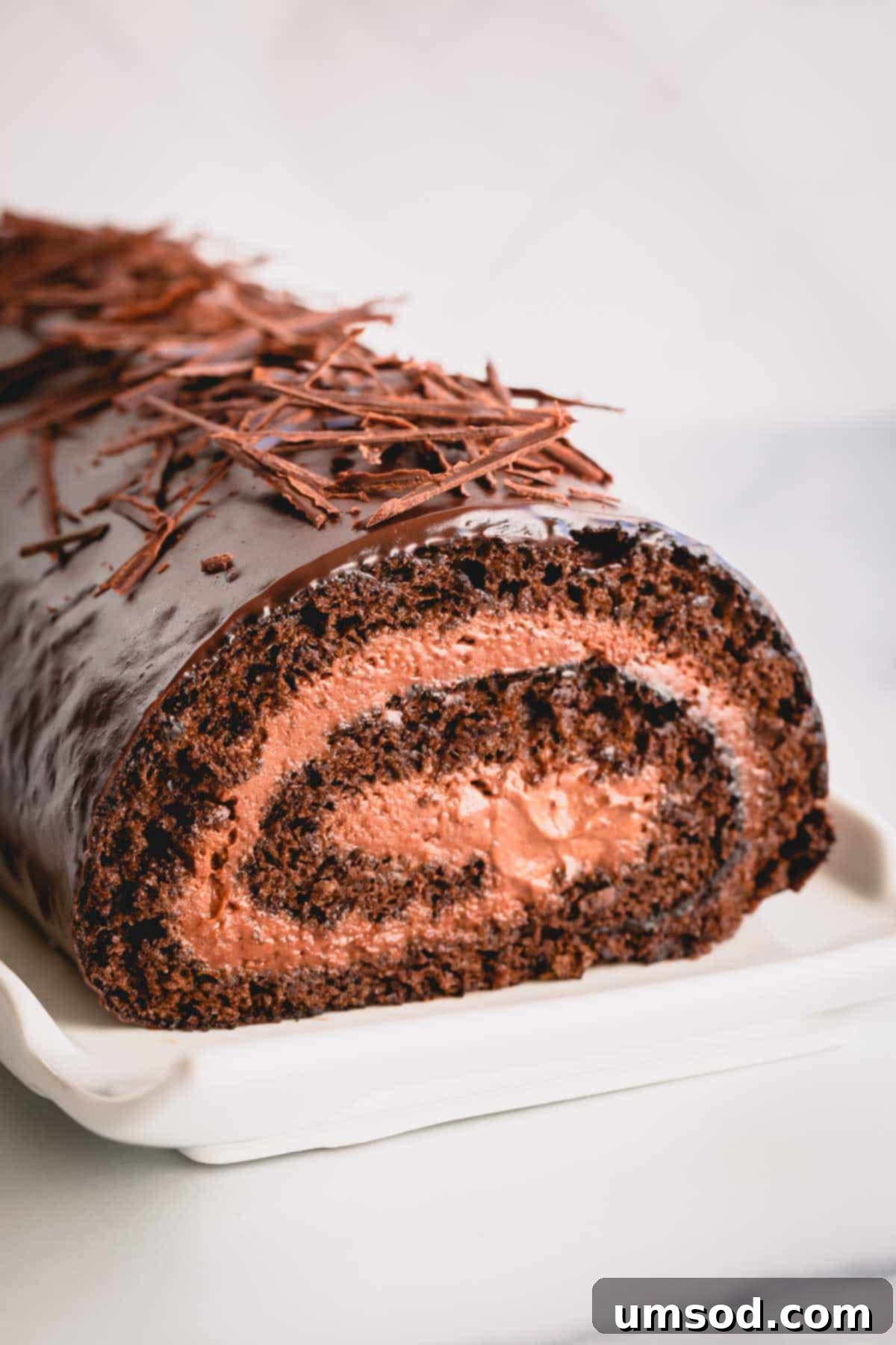 Unapologetically Chocolate Roll Cake 2 A beautifully sliced chocolate roll cake revealing layers of airy sponge and creamy chocolate mousse filling.