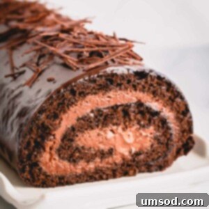 Unapologetically Chocolate Roll Cake 13 A chocolate roll cake with creamy mousse filling, ready to serve.