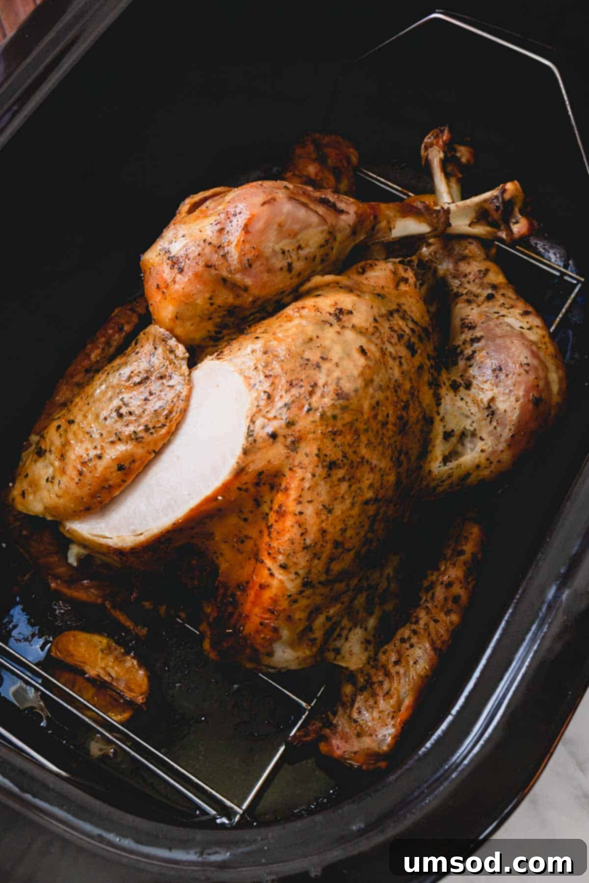 Roasted turkey in an electric roaster, showcasing a golden-brown finish.