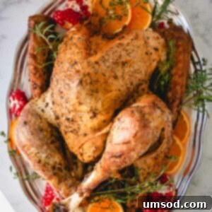 Whole roast turkey on a silver platter garnished with orange slices, pomegranate halves and fresh herbs.